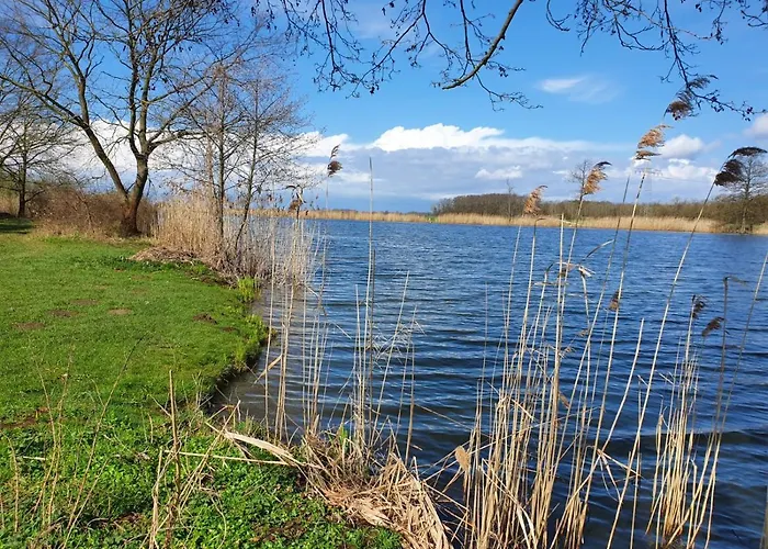 Undine Mit E-auto-ladestation